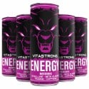 VITASTRONG ENERGY X12 LESNÉ PLODY