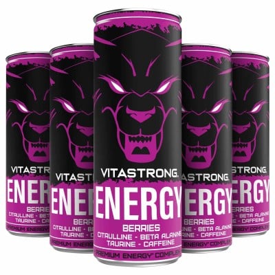 ENERGY X12 LESNÉ PLODY