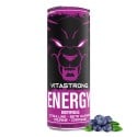 VITASTRONG ENERGY X1 LESNÉ PLODY