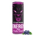 VITASTRONG ENERGY X1 LESNÉ PLODY