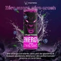 VITASTRONG ENERGY X1 LESNÉ PLODY