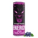 VITASTRONG ENERGY X1 LESNÉ PLODY