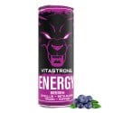 VITASTRONG ENERGY X1 LESNÉ PLODY