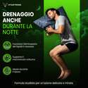 DRAINPURE NOC