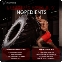 TESTOBOOSTER